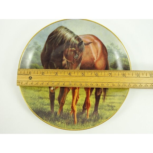 The First 1st Day Fred Stone Decorative Plate Mare and Foal Colt Mom Baby Horse - Picture 6 of 6